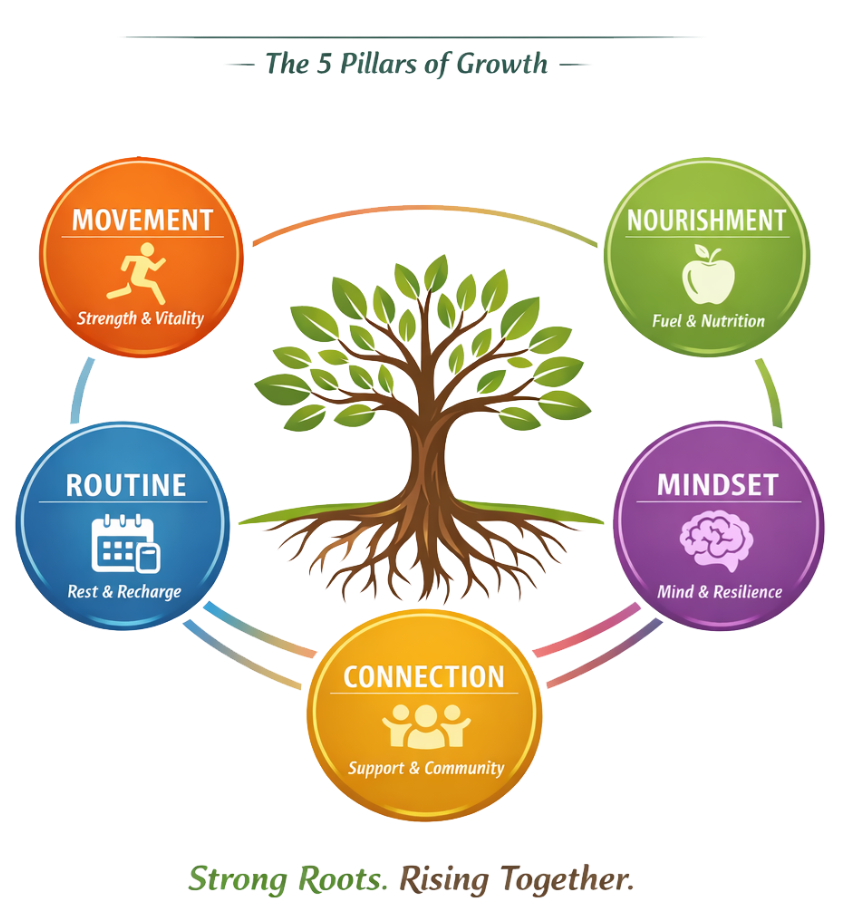 Root to Rise coaching pillars illustration